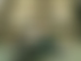 Tapas & Sidecar Motorcycle Tour of Barcelona