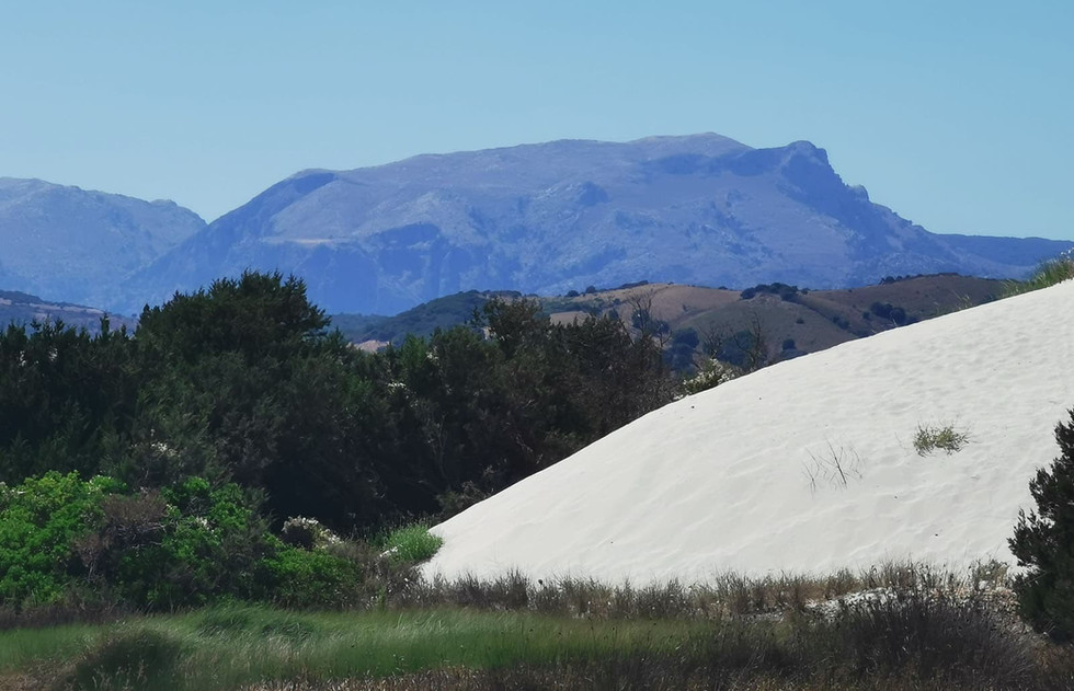 jeep, tour, jeep tour, 4x4, off-road, biderosa, oasis, welcome, sardinia, welcome to sardinia