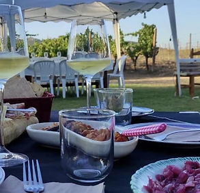 PHOTO TOURNEE & APERITIF IN THE VINEYARD.jpeg