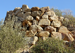 Immagine 2022-06-03 111100.png