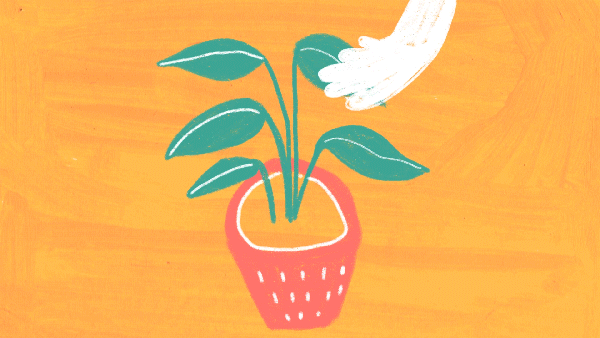 care for plants.gif