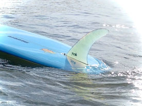 IT'S PHOTOS LIKE THIS...