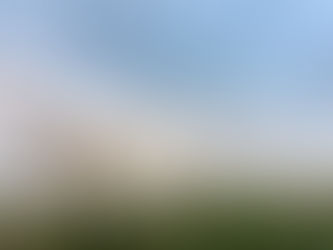 SOUND OF NATURE