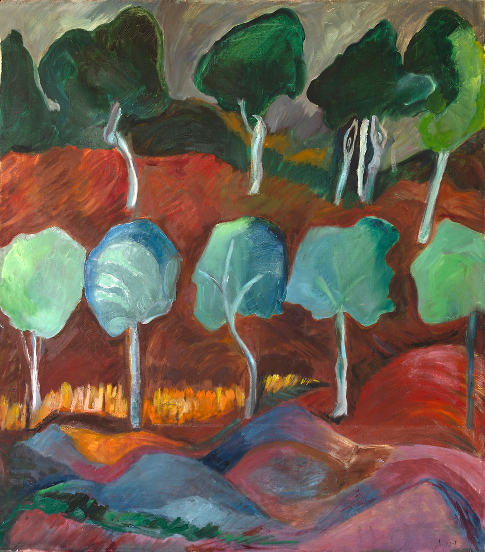 איור - חבורה