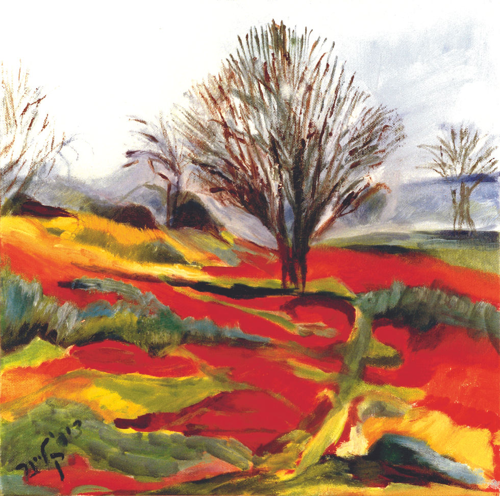 איור דרום אדום