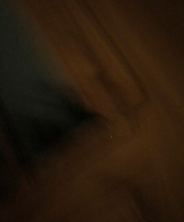 IMG_7499.jpeg