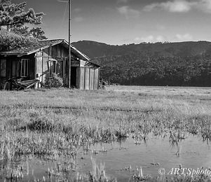 DSC_0159-2.jpg