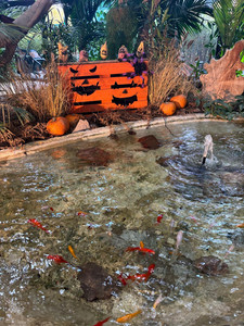 activités Vosges quand il pleut famille