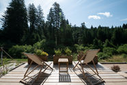 Vue forêt de la terrase du Forest Lodge chalet en location dans les vosges
