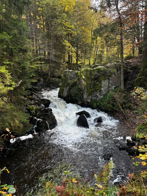 Saut des Cuves cascade Vosges