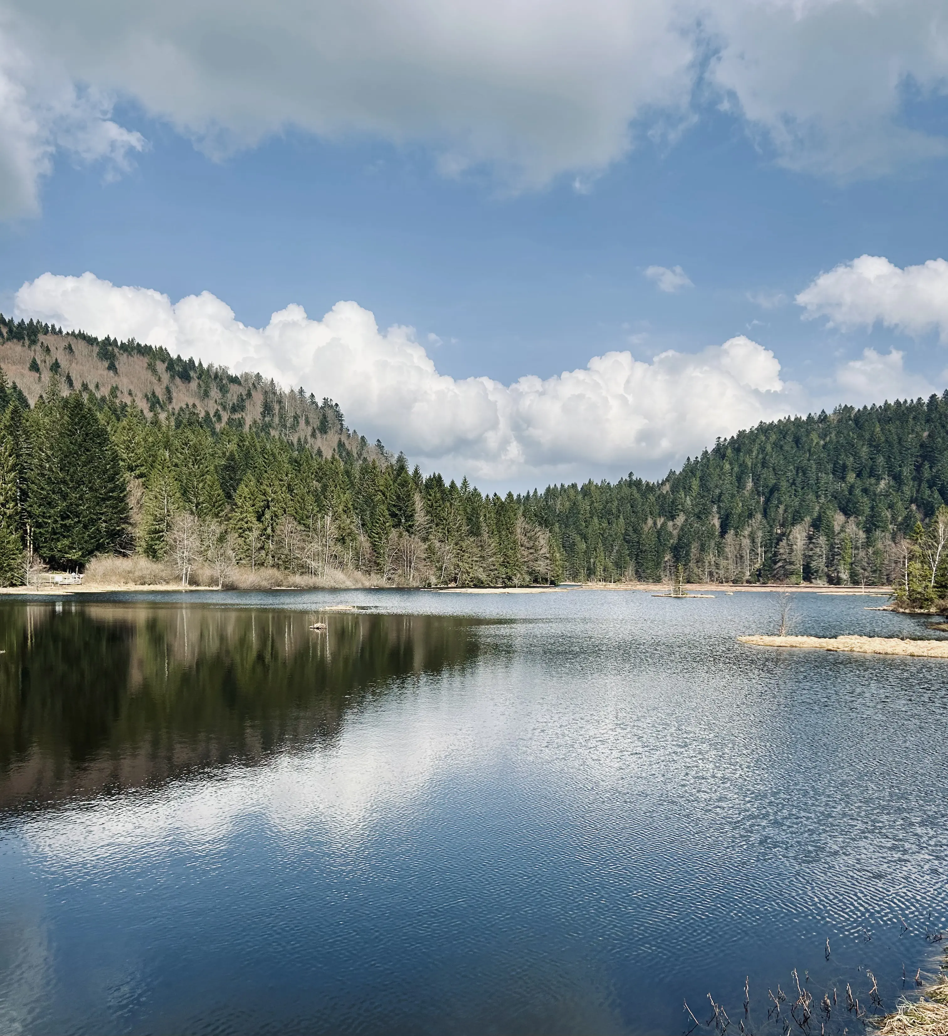 Lac de Lispach Randonnée Vosges