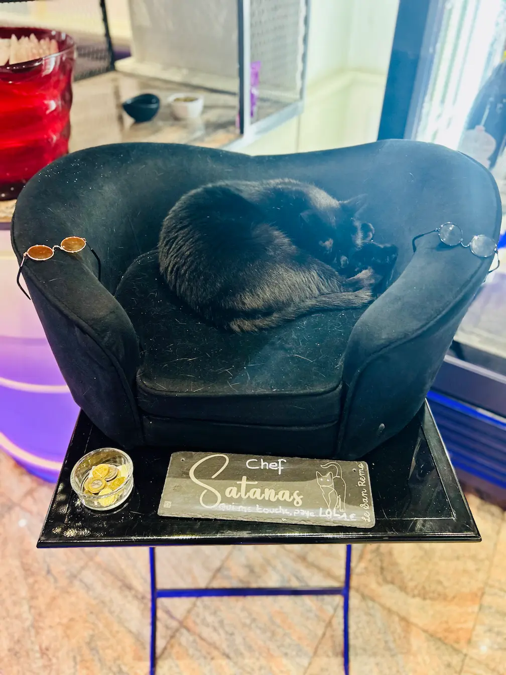 San Remo Gérardmer pizza