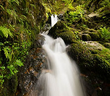 Saut des cuves in the vosges mountains in france.jpg
