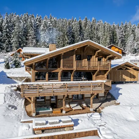 chalet de luxe dans les Vosges pres de Gerardmer-Forest Lodge