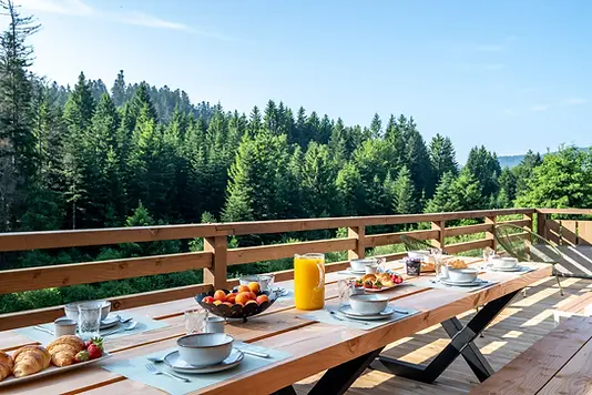 Chalet terrace with forest view in Xonrupt-Longemer