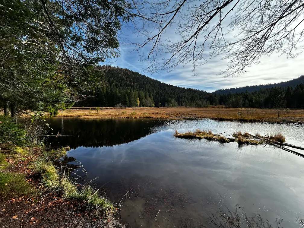 Lac de Lispach automne reflet