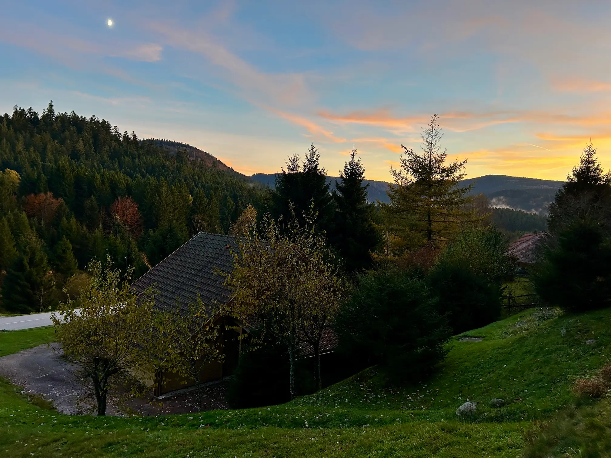 cueillette champignons forêt Vosges