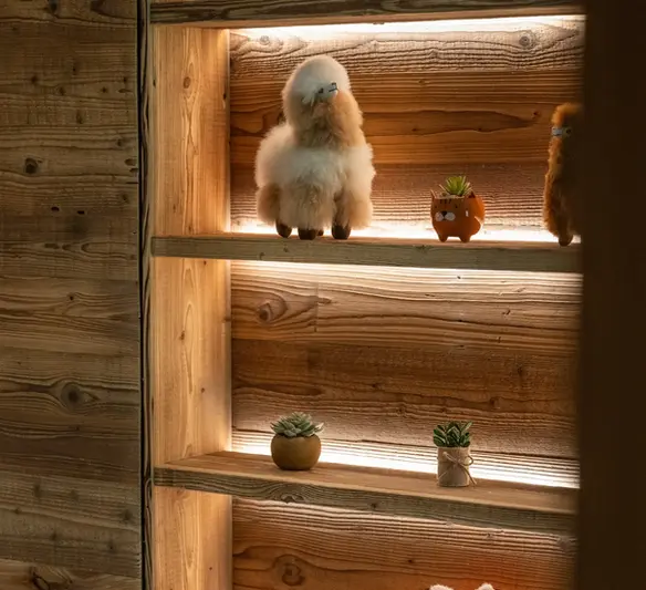 Bibliothèque en vieux bois  – ambiance chalet authentique Vosges