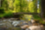 waterval Saut des Cuves Vogezen Vologne rivier