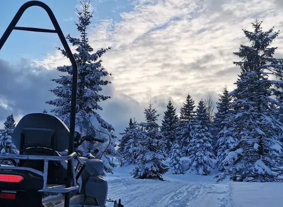 Balade en motoneige dans les Vosges – activité hivernale près du chalet Forest Lodge