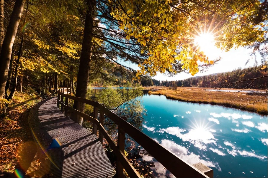 lac de lispach passerelles en bois tourbière