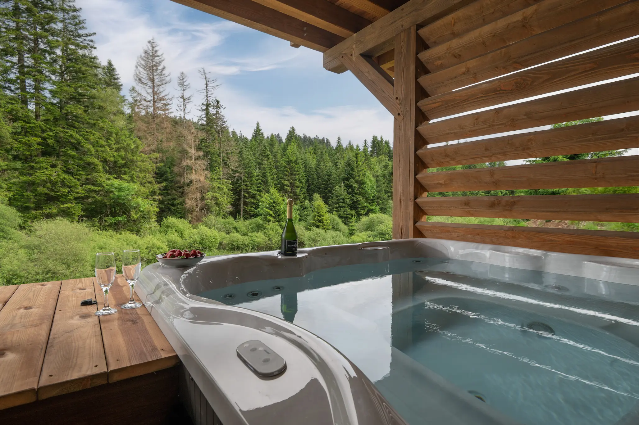 Jacuzzi vue Forêt, Forest Lodge chalet luxe Gerardmer