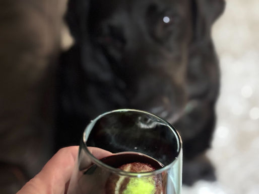 Career Changed Ollie