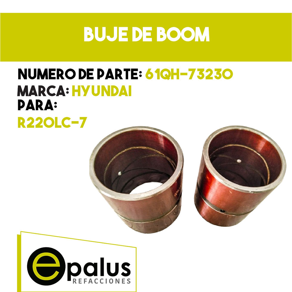 BUJE DE BOOM - PARTE: 61QH-73230