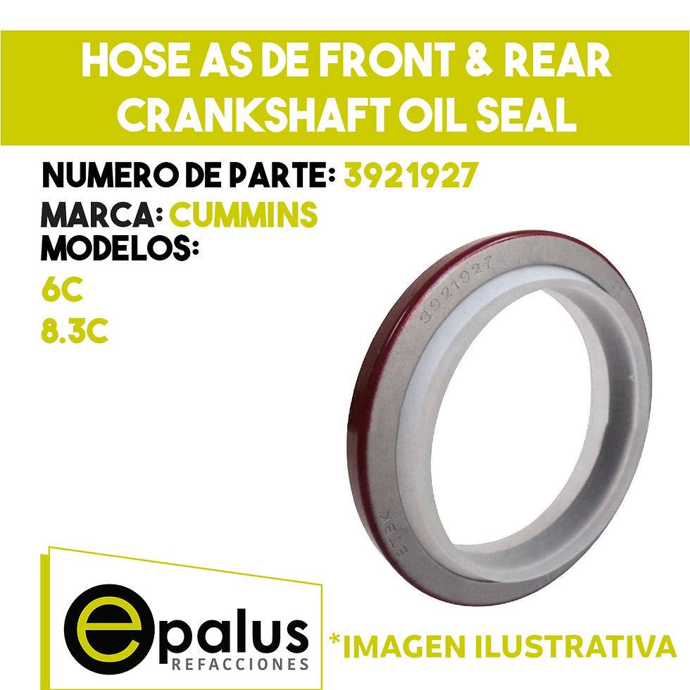 HOSE AS DE FRONT & REAR CRANKSHAFT OIL SEAL - PARTE: 3921927