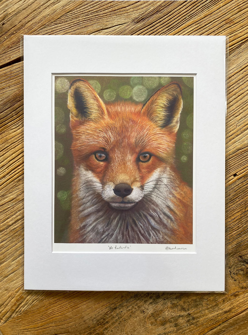 'Mr Fantastic' 8"x10"