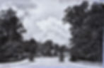 trenton postcards 28