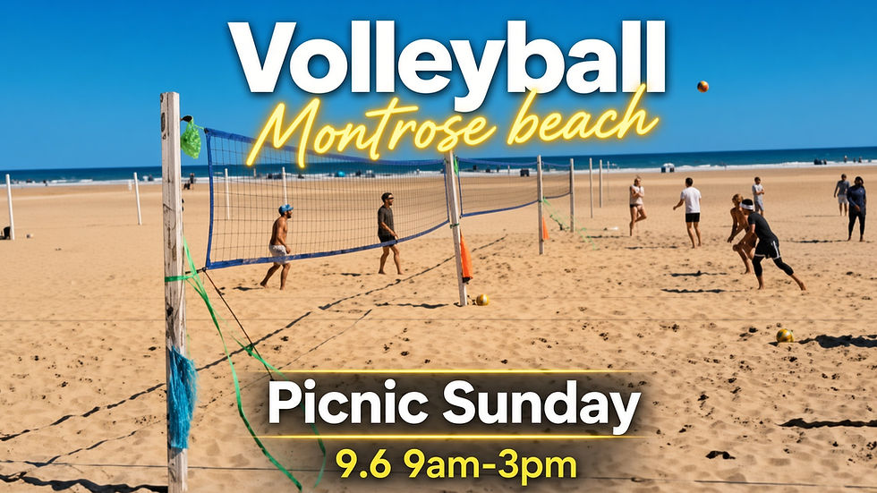 Volleyball Montrose Beach Sunday 9.06 Picnic
