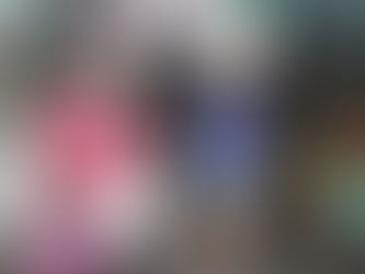 TLES Modular Teachers in Action 