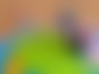 Arbitraging the world: How to build a geographic portfolio