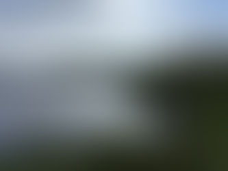 Von Holyrood nach Long Pond