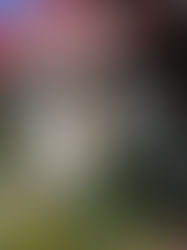 Von Rivière ouelle nach Montmagny