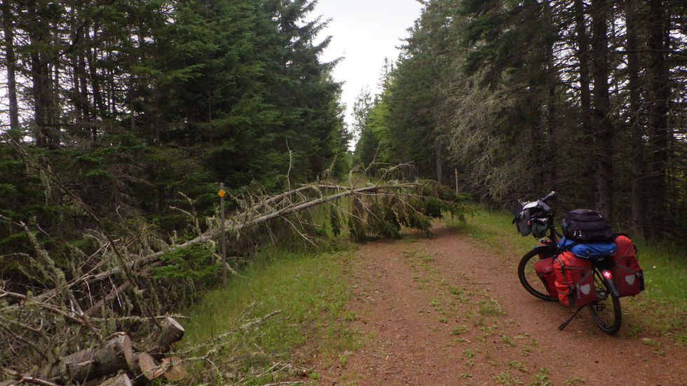 Von Wood Islands nach Charlotteville (PEI)