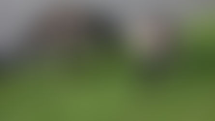 Von Cotaux au Lac nach South Stormont