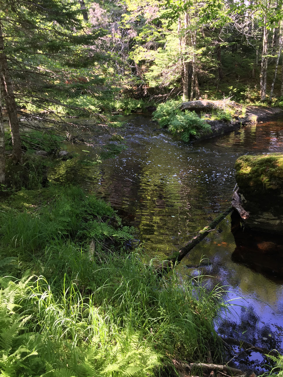 Von Linwood nach Salmon River Lake