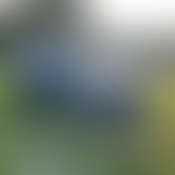 Focus Clipper 1.5diesel automaat full option  VERKOCHT