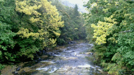 撮影サイズが(@_@)知らないまに 変わってた。