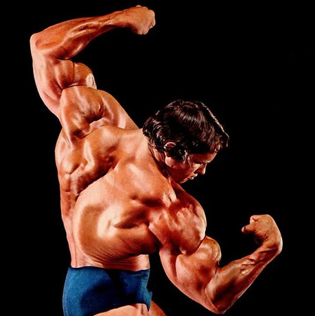 Muscular male physique, flexing. Testosterone and anabolic health.