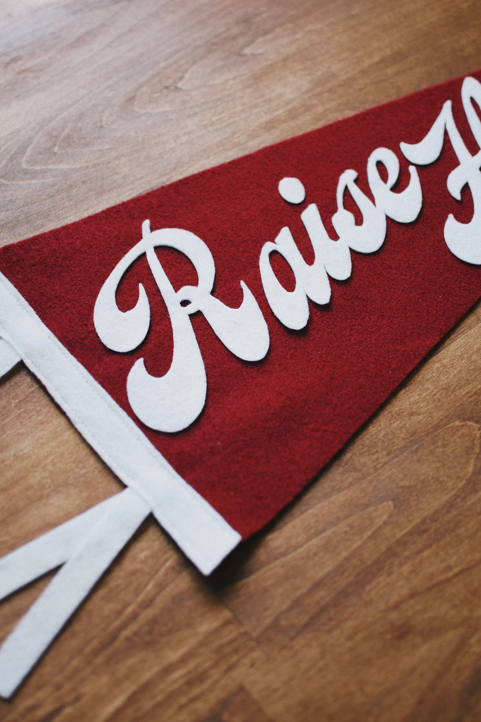 Thumbnail: RAISE HELL PENNANT