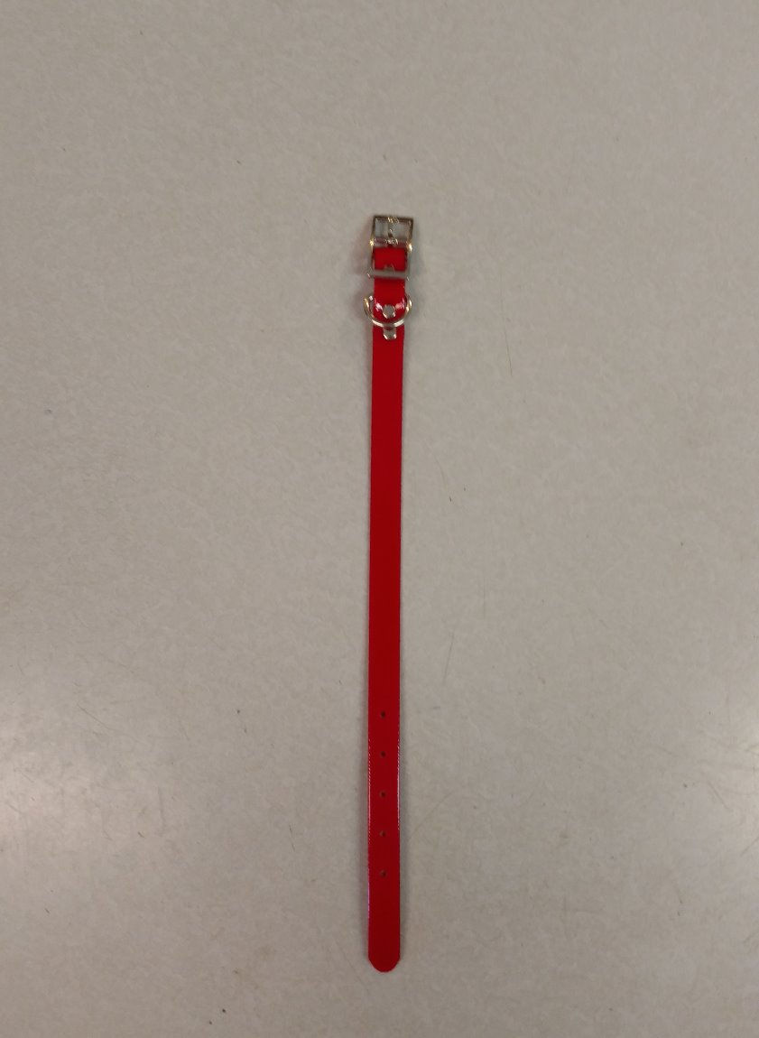 Thumbnail: 3/4"  Dayglo Regular D-Collar