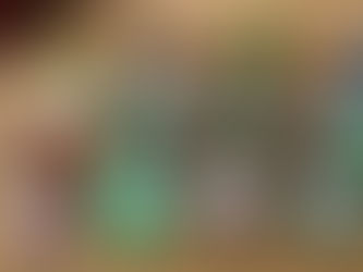 Will you be Gnome for Christmas?