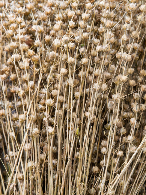 Новинки светодиодных светильниках