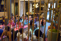 Barre & Bites Miniseries