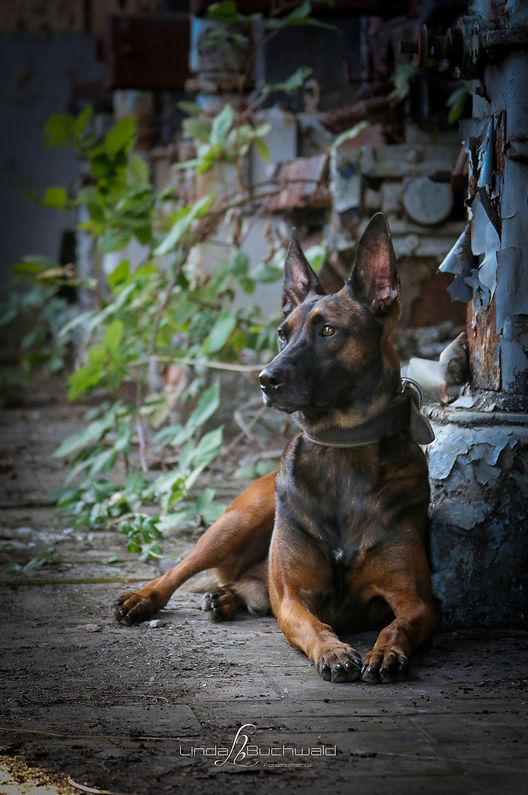 Maria mit Logo (17).jpg