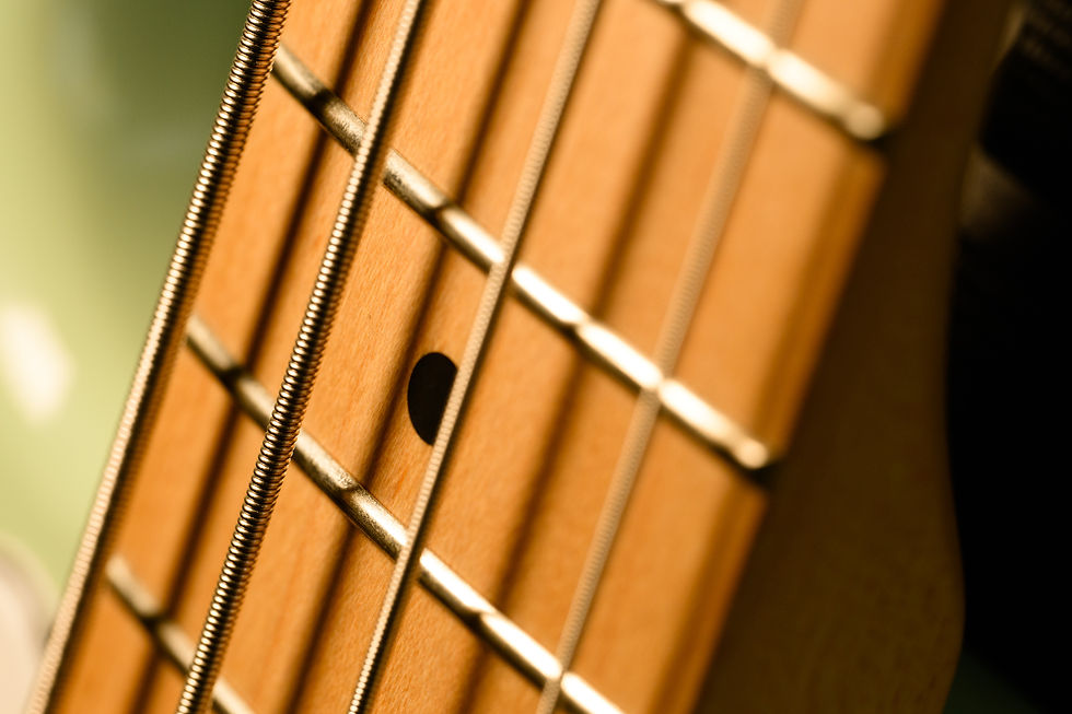 Macro close-up of a bass guitar fretboard with steel strings and a single fret marker, warm wood tones, soft blurred background
