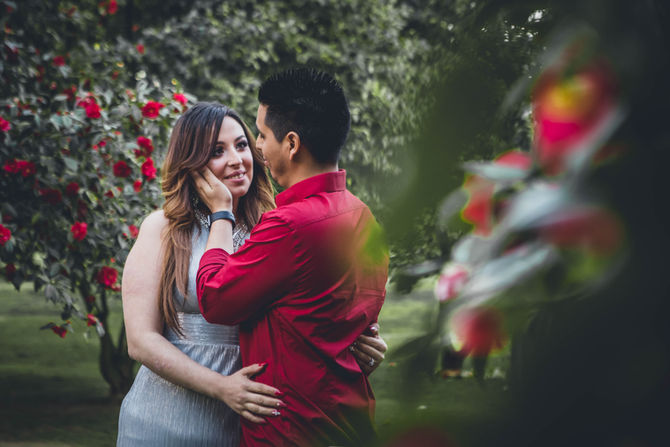 Monica + Ray (Sacramento Engagement)